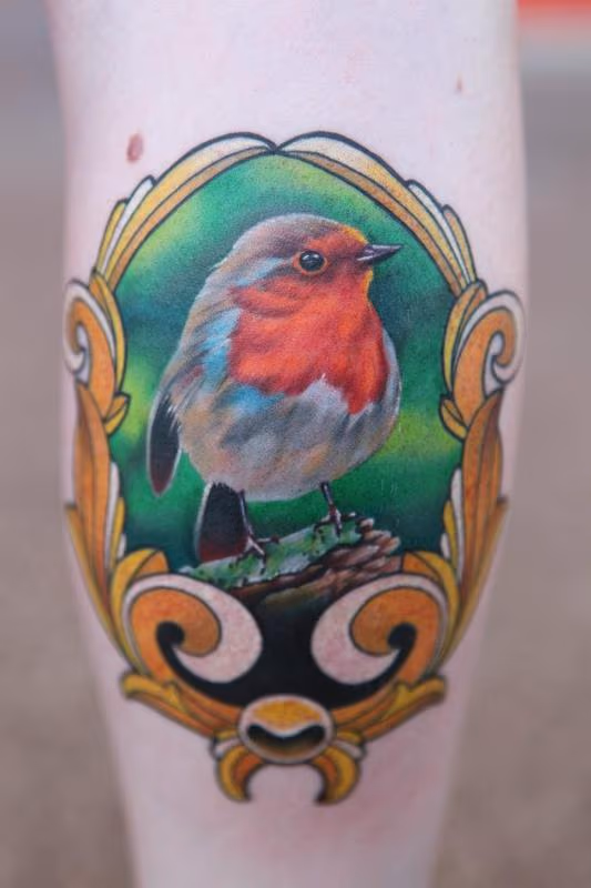 Framed realistic bird