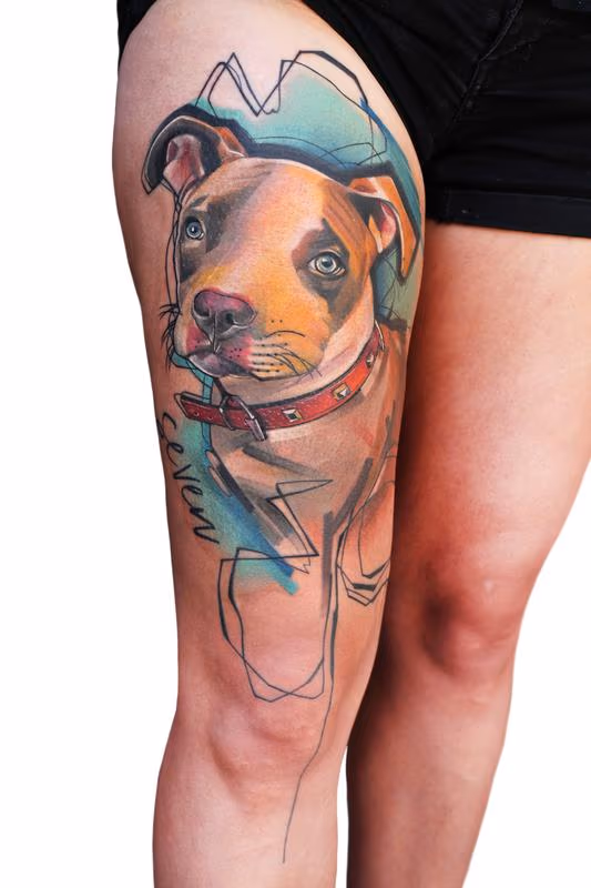 Dog pet protrait