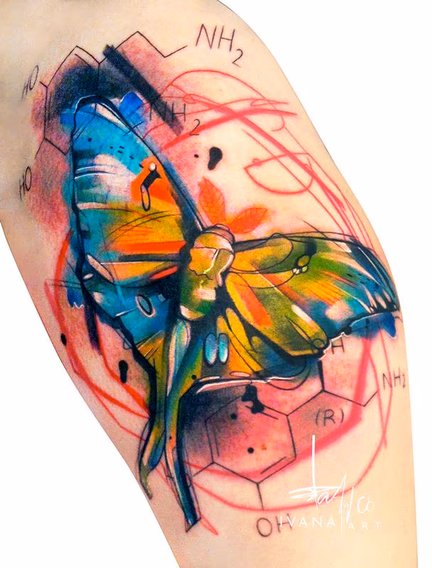 Moth Butterfly