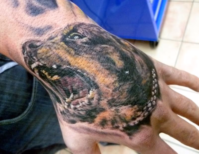Angry Rottweiler