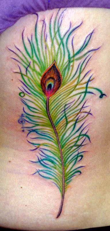 Peacock feather