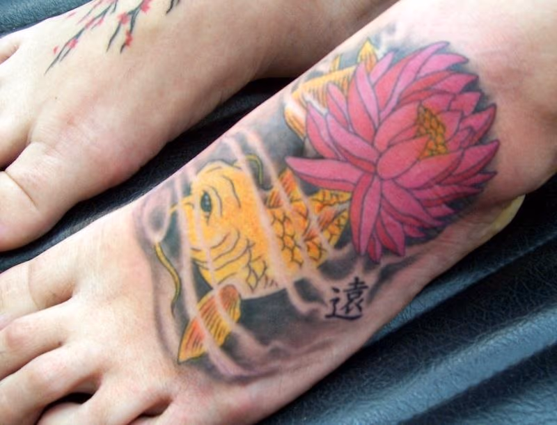 Koi & Lotus