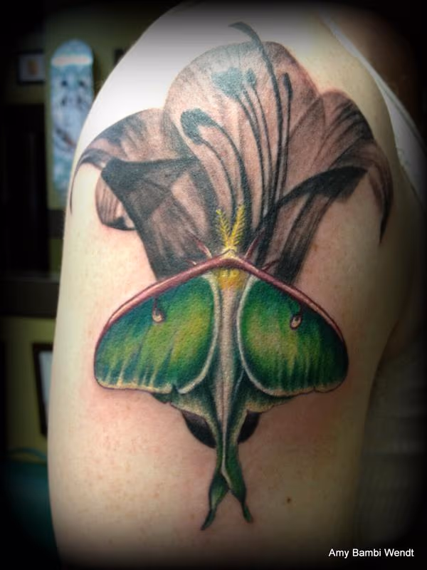 Luna moth