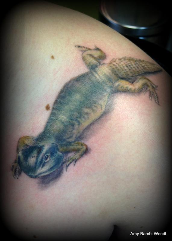 Lizard