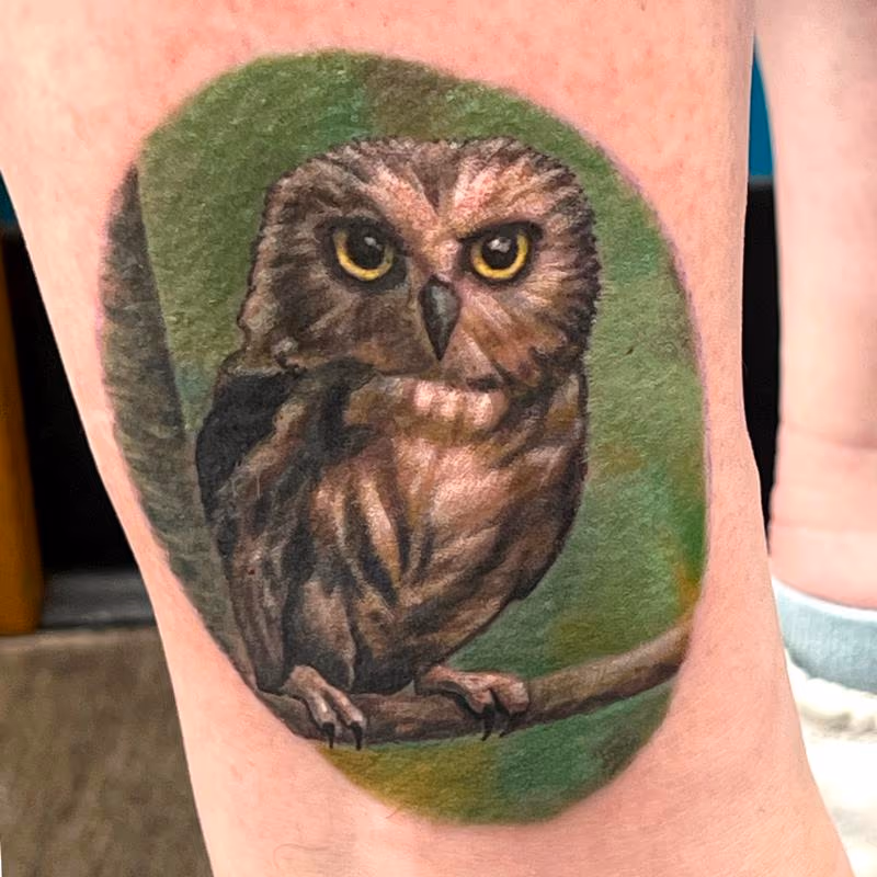Little Owl Tattoo