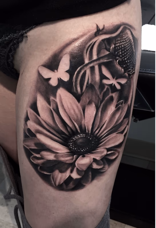 flowers and butterflies