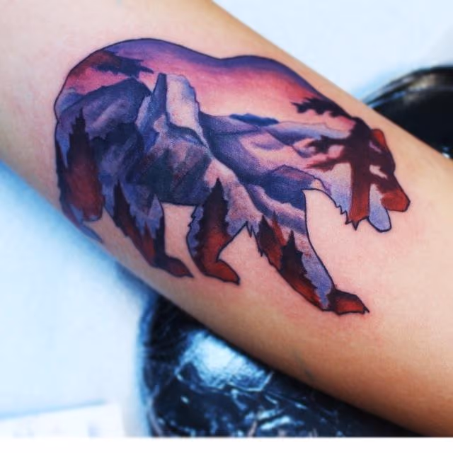 Cailifornia Bear