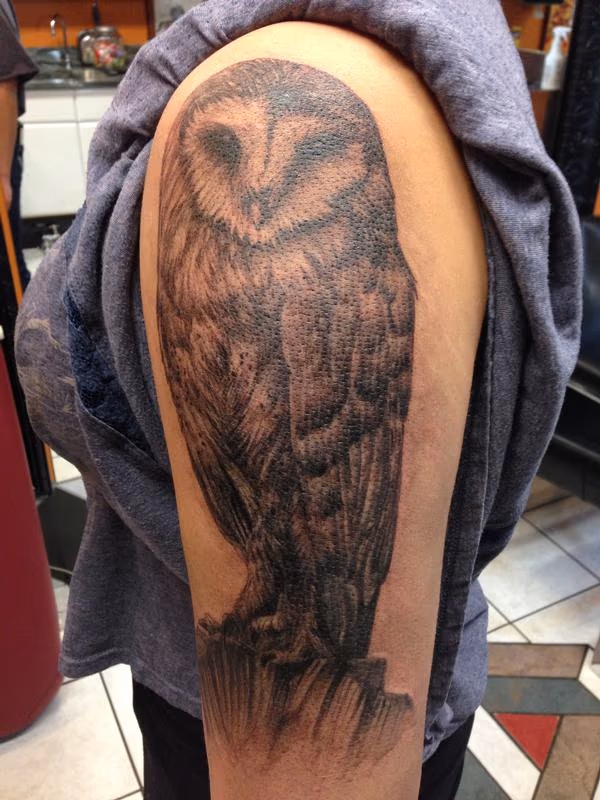 Black and Gray Owl Tattoo