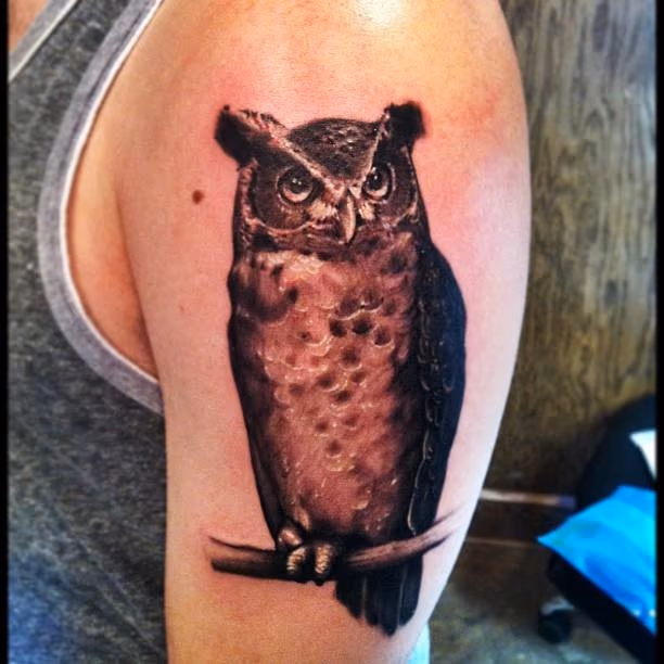 Great horned portrait