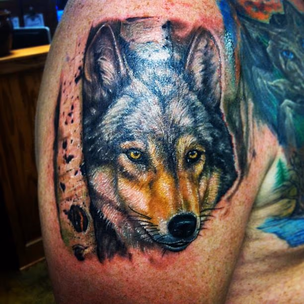 Wolf Portrait