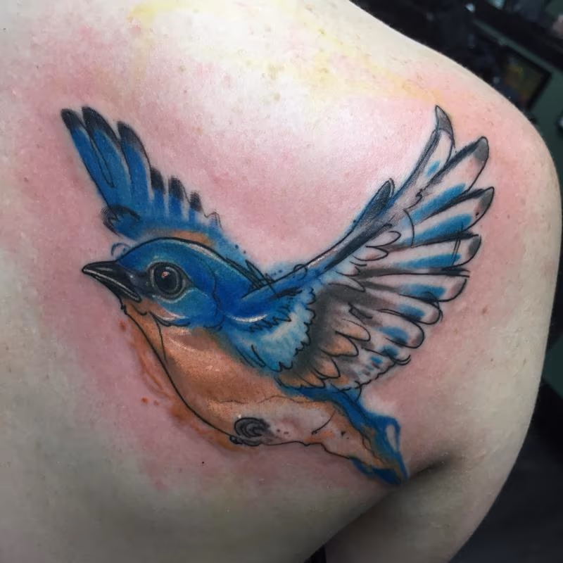 Watercolor blue bird