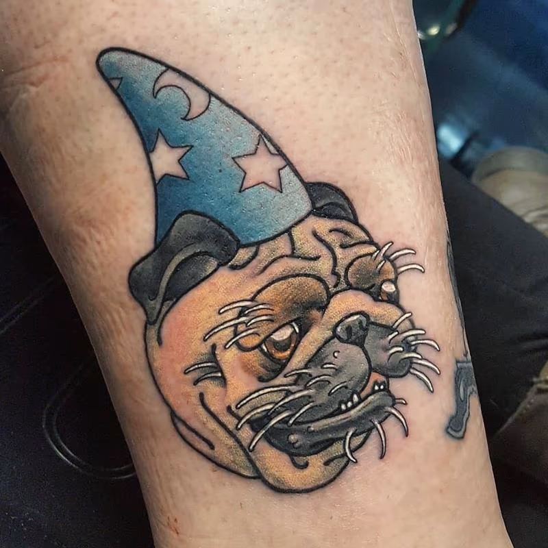 Wizard Dog