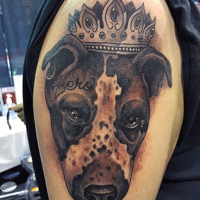 Dog Portrait