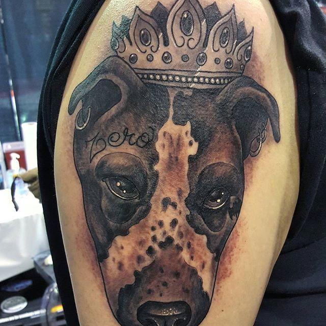 Dog Portrait