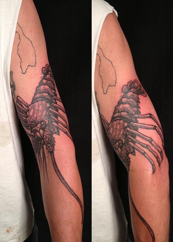 California Spiny Lobster Tattoo