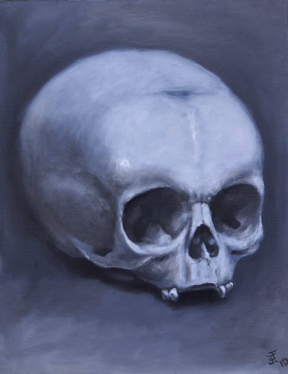 Greyscale Skull Still Life