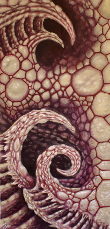 Bio Banner