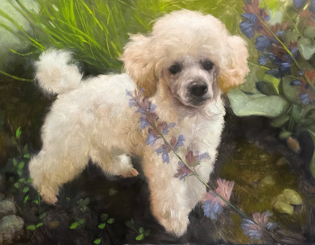 Cream poodle portrait in garden, oil painting