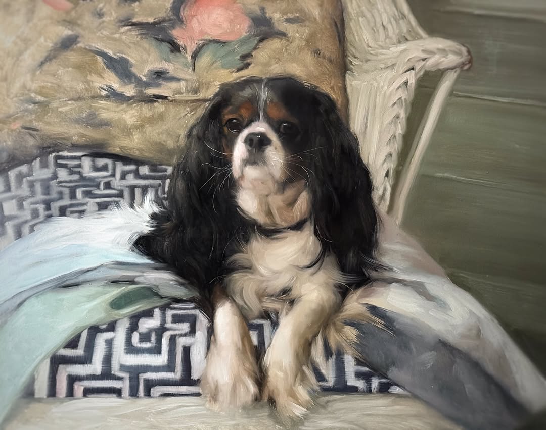 Cavalier King Charles Spaniel oil portrait on chair