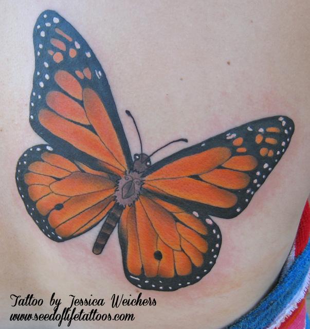 Monarch Butterfly