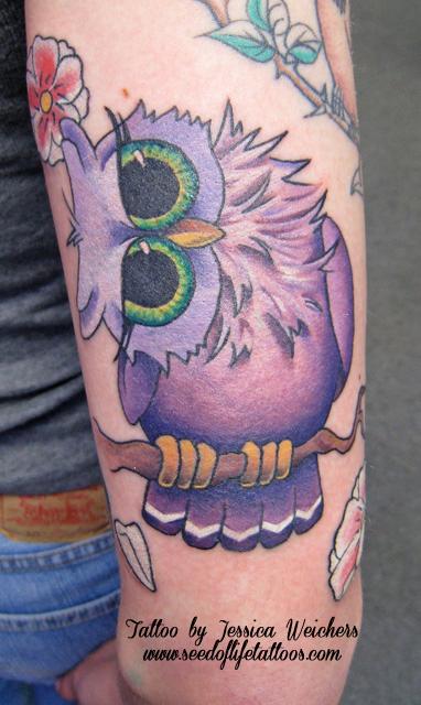 Cute little Owl