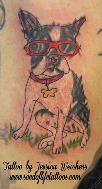 Boston Terrier with Sunglasses