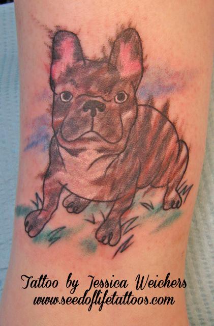 French Bulldog