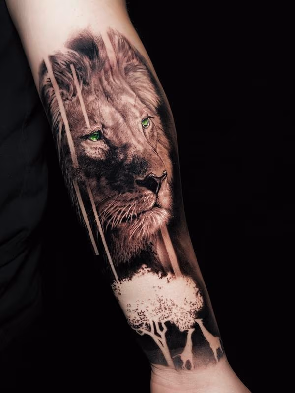 African Lion