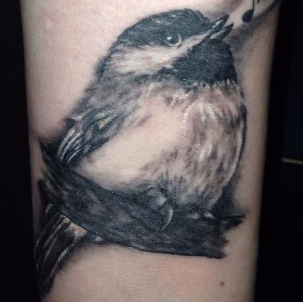 Bird