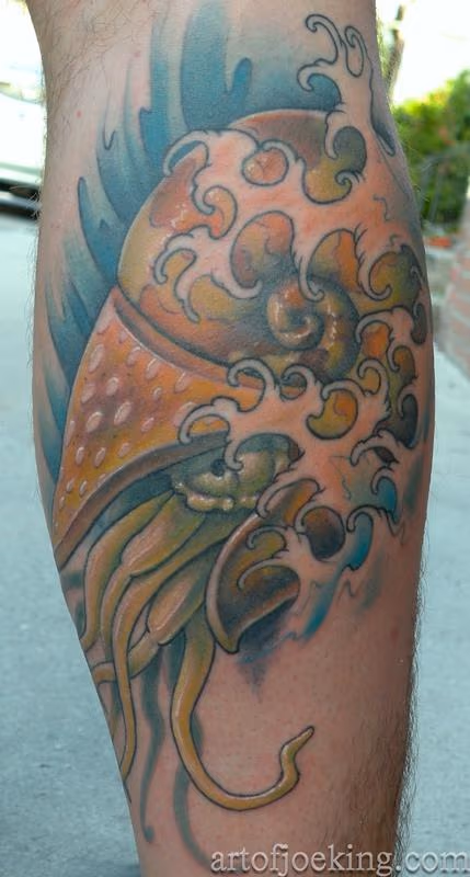 nautilus and waves
