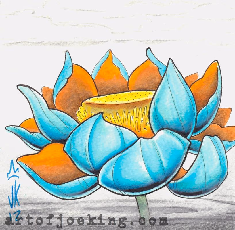 blue lotus illustration