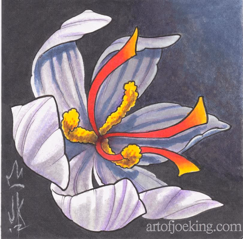 saffron illustration