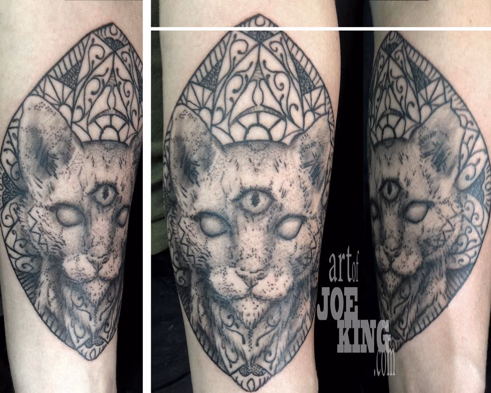 Third Eye Cat