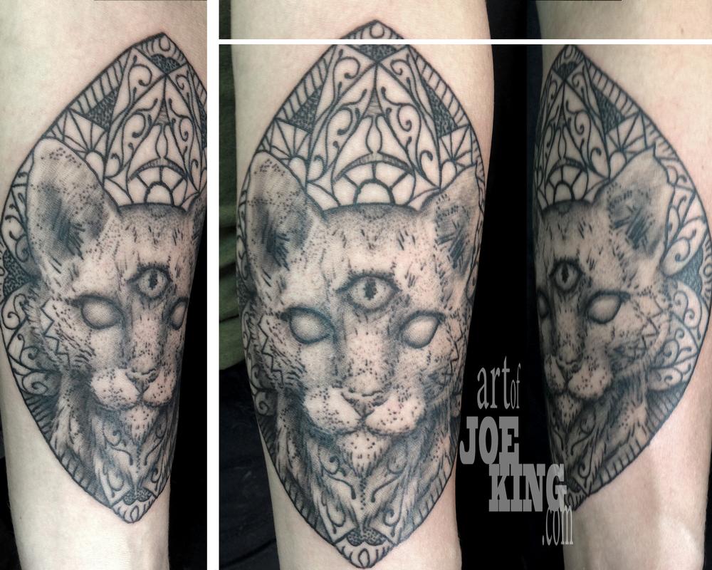 Third Eye Cat