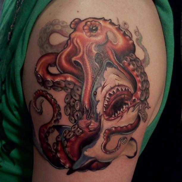Shark vs. Octopus