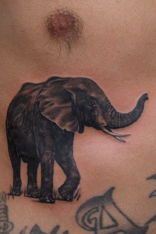 Elephant