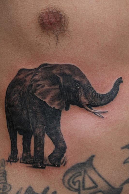 Elephant