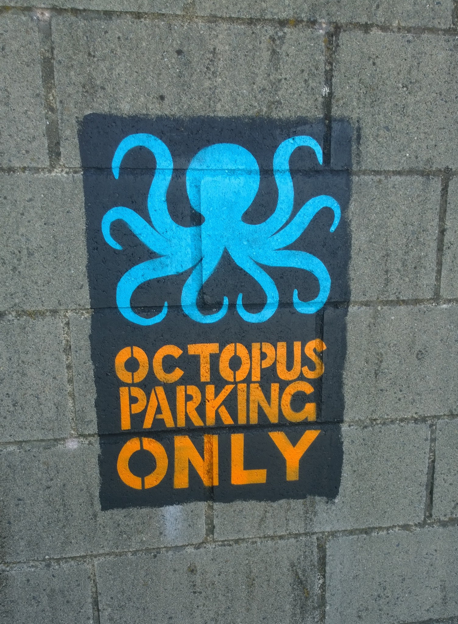 Park Your Octopus