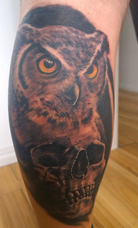 Owl and Skull Tattoo