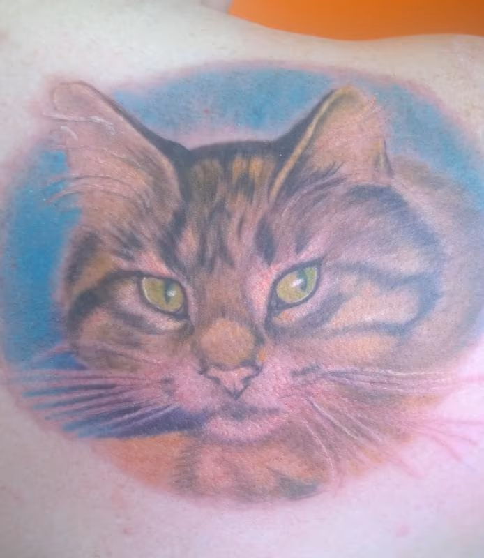 Pet Cat Portrait Tattoo