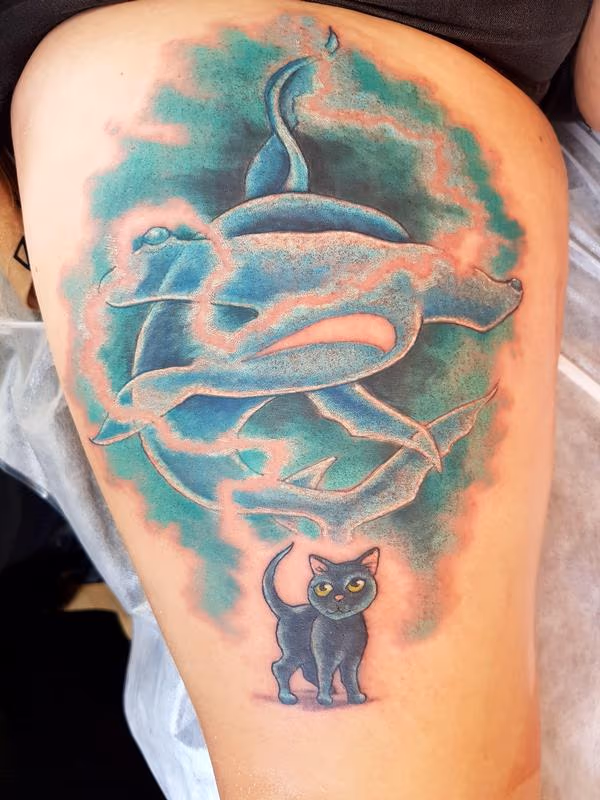 The Cat Is The Shark