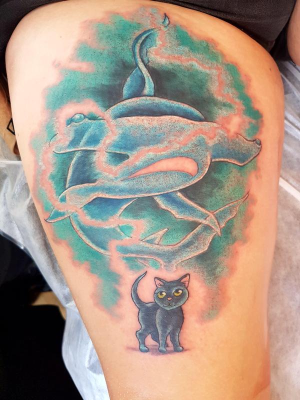 The Cat Is The Shark
