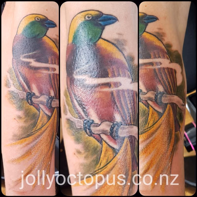 Bird of Paradise Color Tattoo