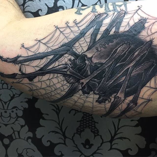 black and grey skull spider