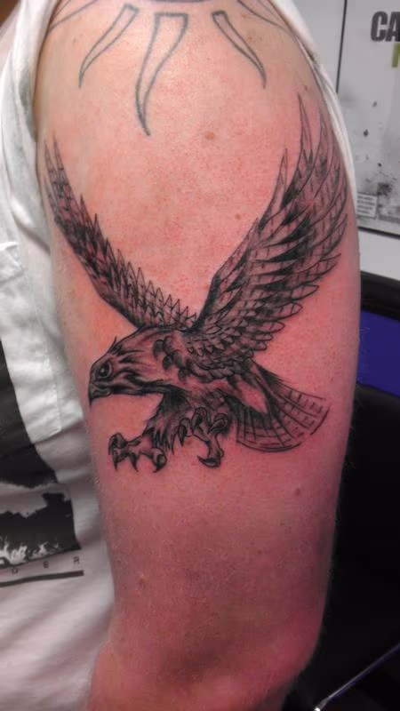 Hawk