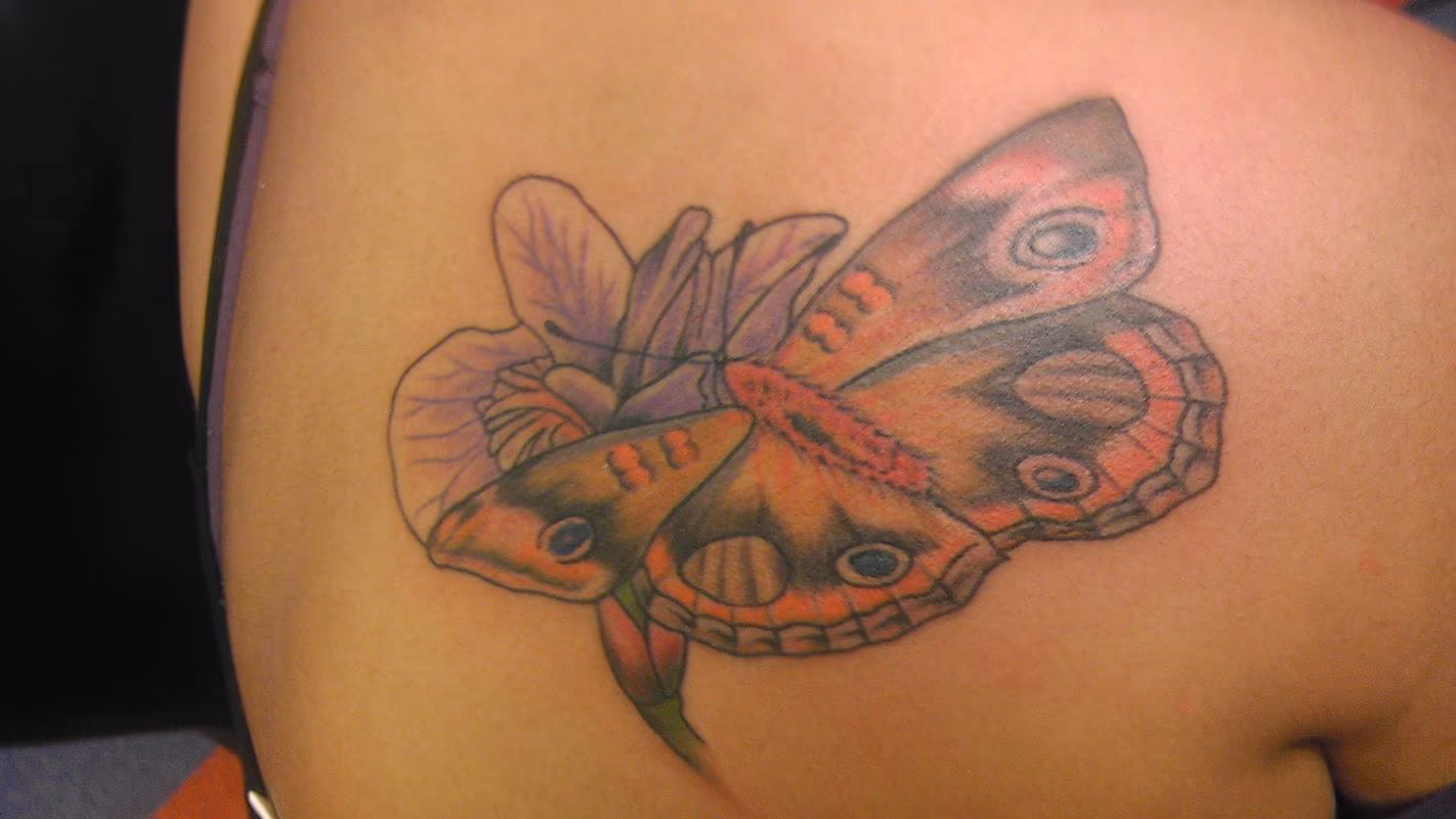 flower with moth