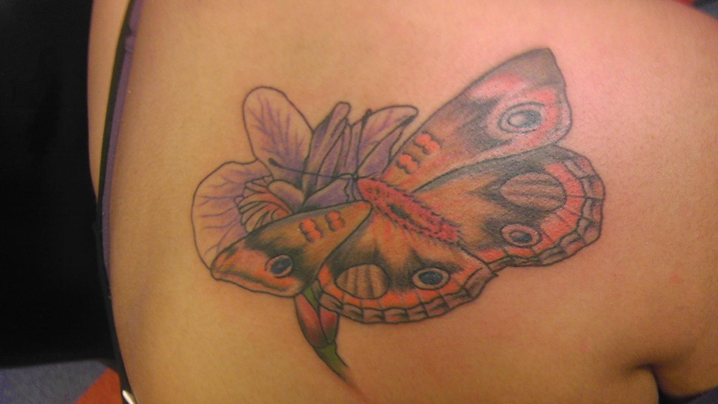 flower with moth