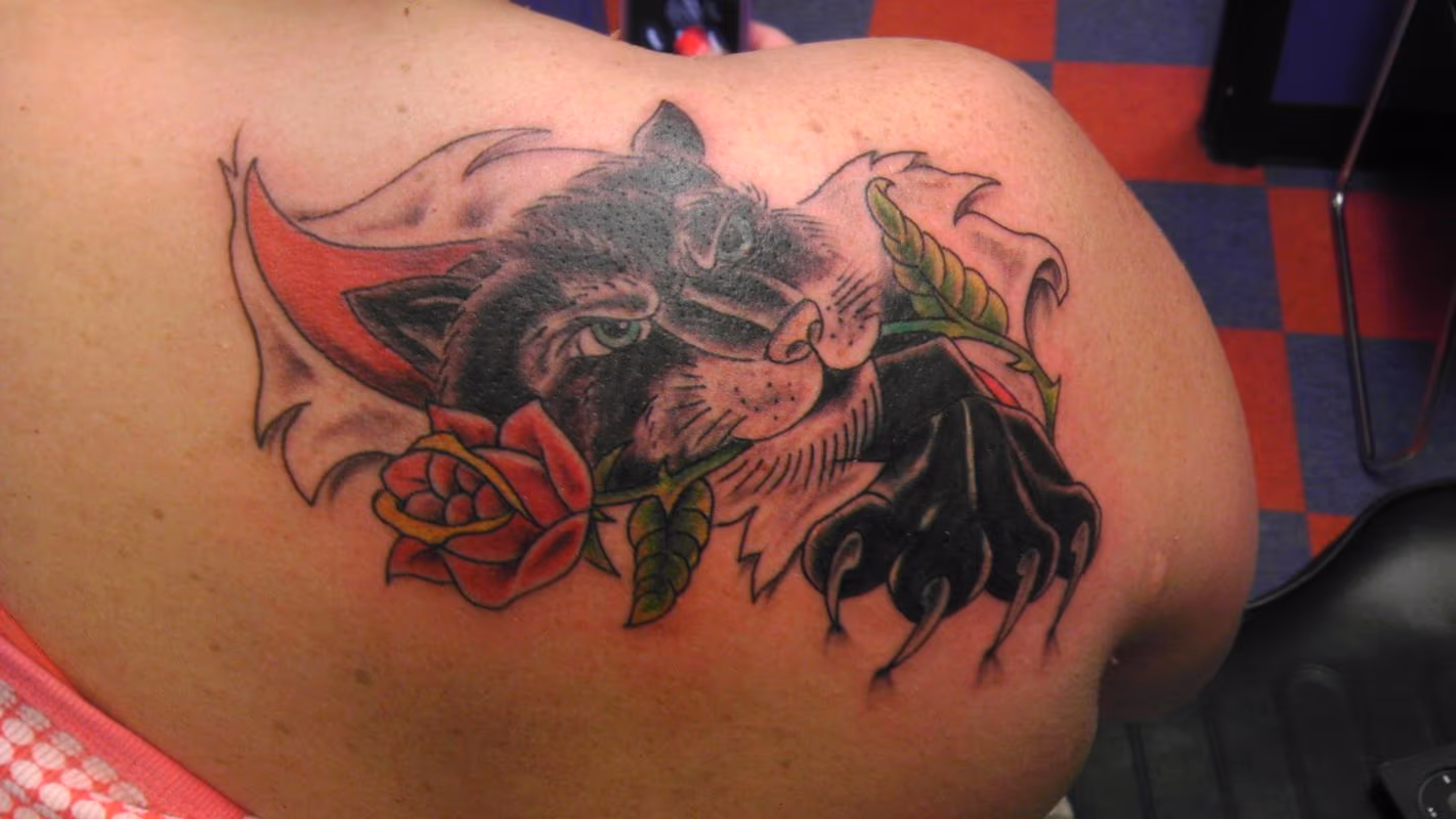 panther cover up
