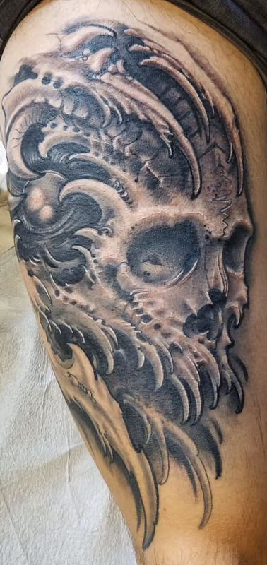 Black and Grey Bio Skull
