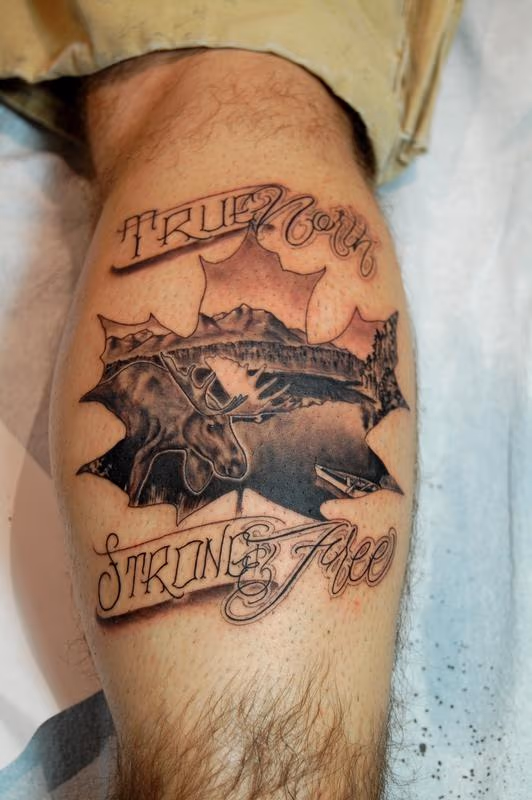 True North